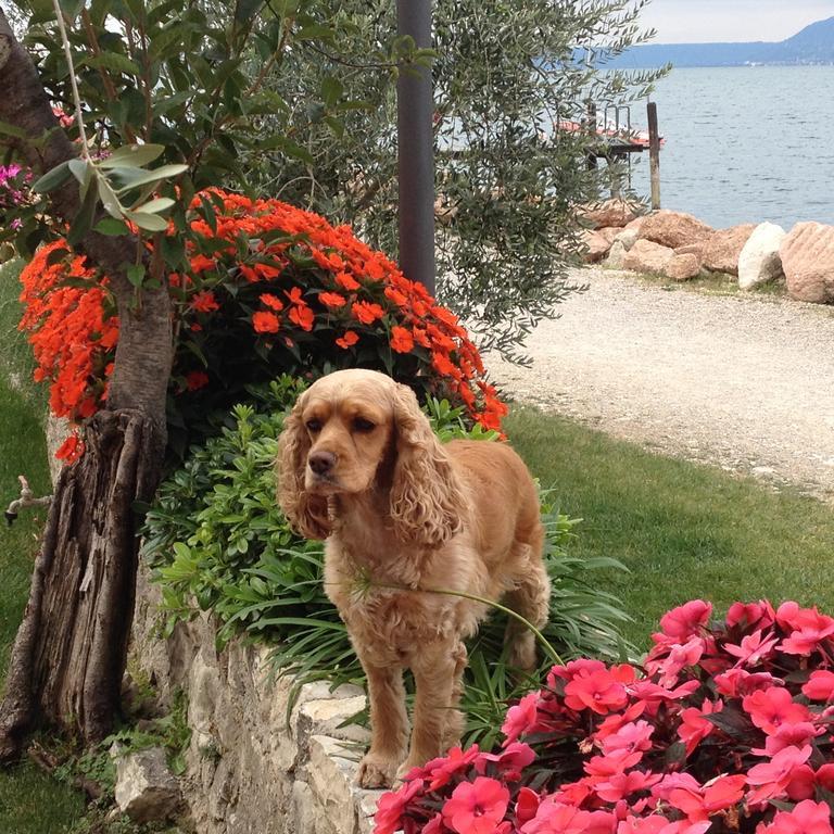 Locanda Fassa Brenzone sul Garda Exterior photo